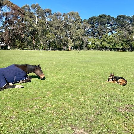 Farm Stay Maple Cottage At Wilindi Estate Tyabb Exteriör bild
