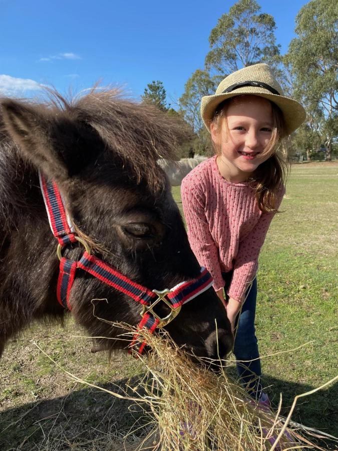 Farm Stay Maple Cottage At Wilindi Estate Tyabb Exteriör bild